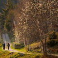 Sentiero Mountain Fitness Camillo Golgi Foto Marino GiacomettiD.jpg