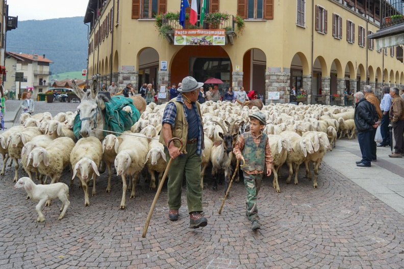 Transumanza 2.jpg