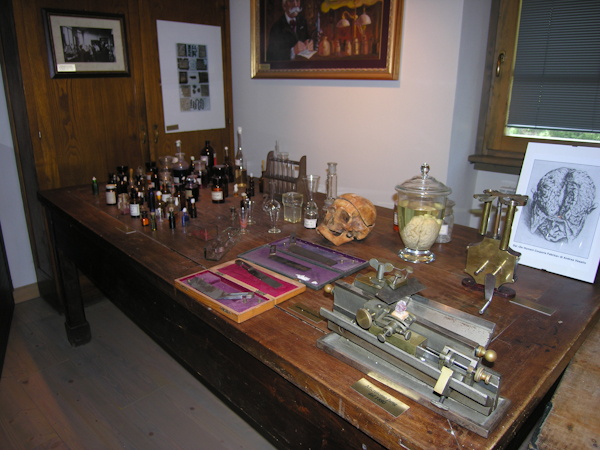 Museo Camillo Golgi Corteno - Dettaglio Laboratorio - Museo di Camillo Golgi particolare del laboratorio.jpg Museo di Camillo Golgi particolare del laboratorio.jpg