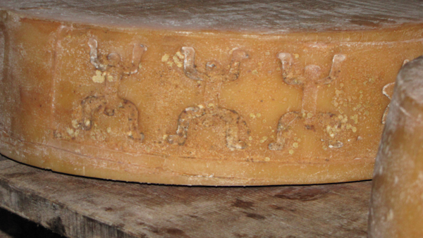 Formaggio Rosa Camuna - formaggio1P.jpg formaggio1P.jpg