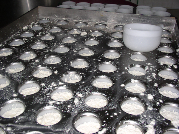 Ricotta - ricottaP.jpg ricottaP.jpg