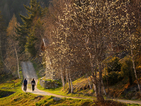 Sentiero Mountain Fitness Camillo Golgi Foto Marino GiacomettiD.jpg